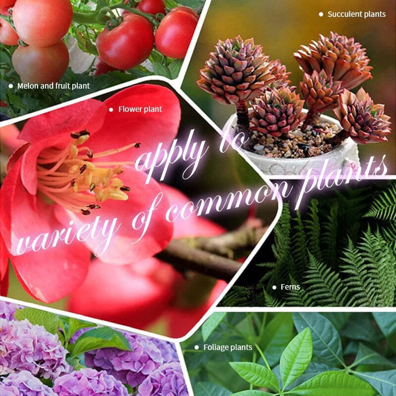 Revive Dead Plants